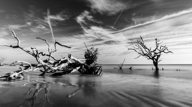 セブ島の都市力学と構造化｜カオスからビジネスの原型を抽出する